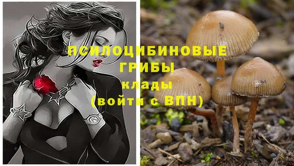 apvp Абдулино