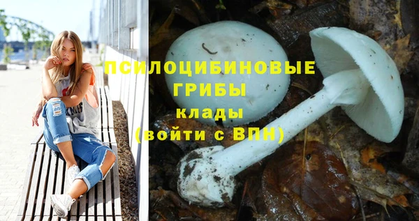прущая мука Абаза