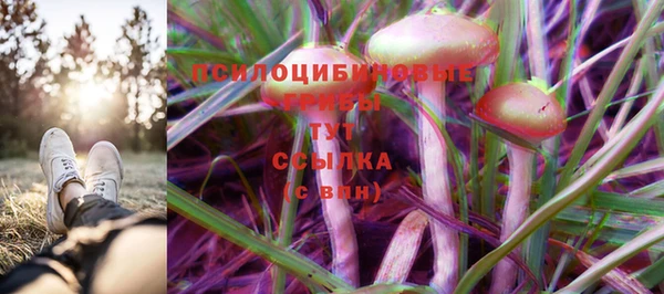 ECSTASY Абинск