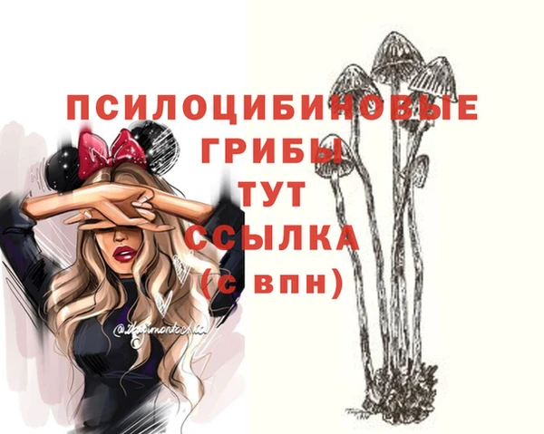 ECSTASY Абинск